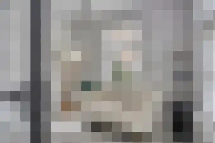 Bucht 46 Bergeijk thumbnail 8
