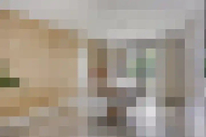 Bucht 46 Bergeijk thumbnail 9