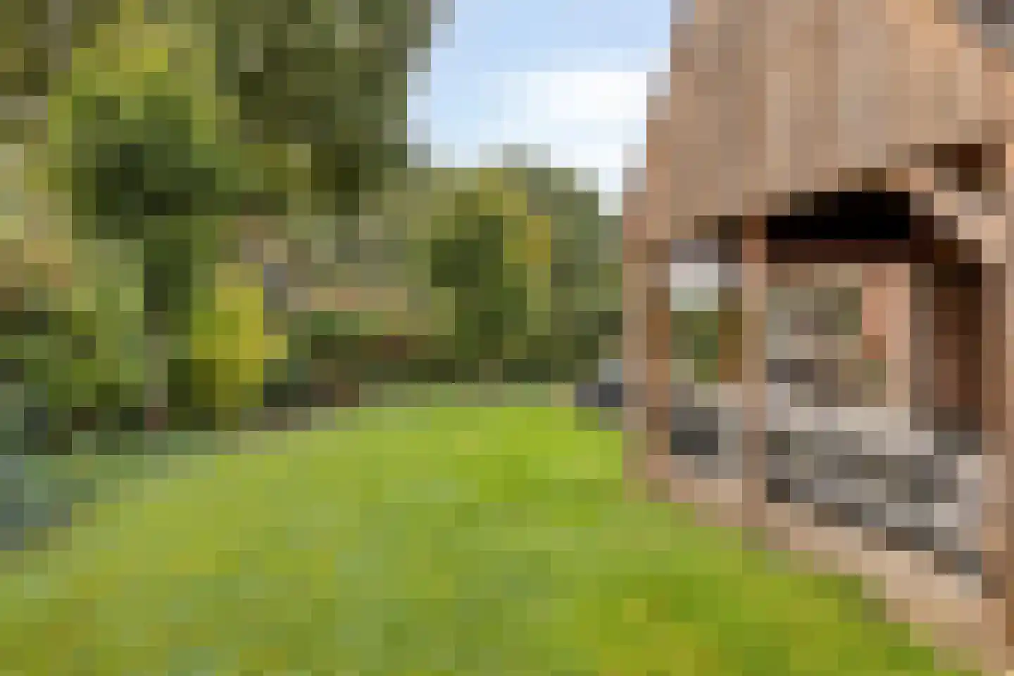 Buchterweg 15 Holtum thumbnail 41