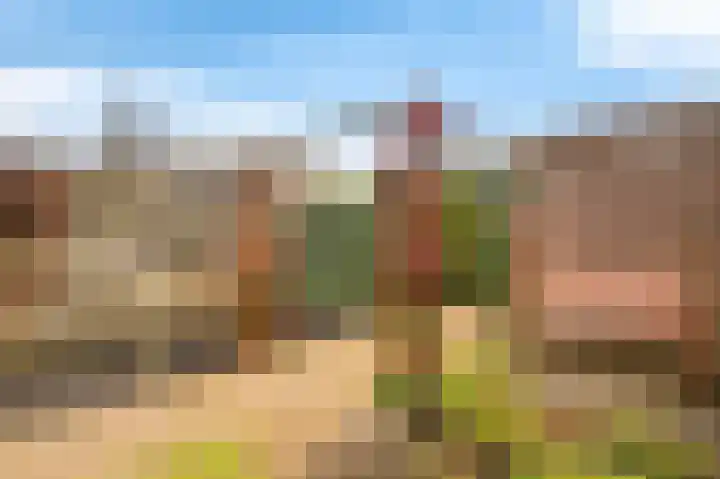 Buckhorstlaan 23 Zwolle thumbnail 35