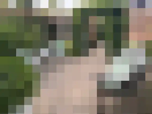 Buckhorstlaan 23 Zwolle thumbnail 37