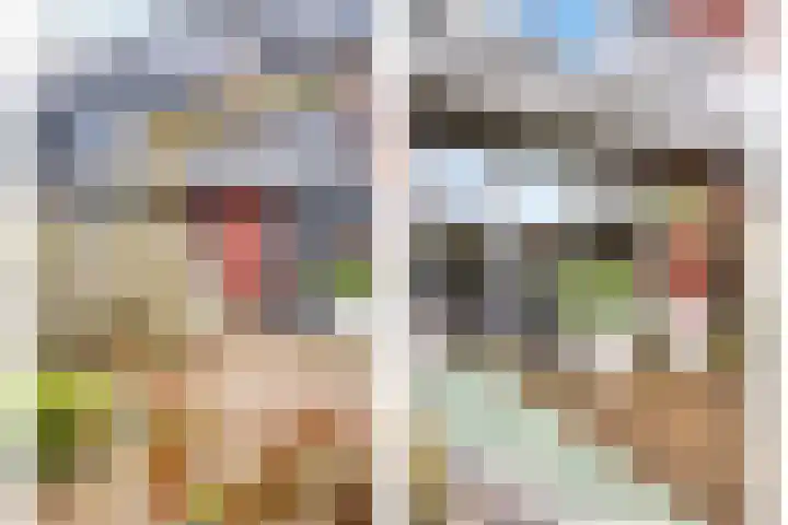 Buckhorstlaan 23 Zwolle thumbnail 38