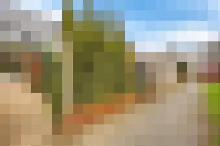 Buckhorstlaan 23 Zwolle thumbnail 43
