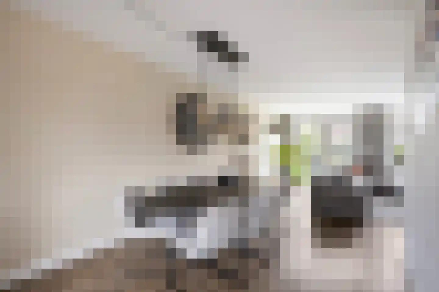 Buckhorstlaan 24 Zwolle thumbnail 10
