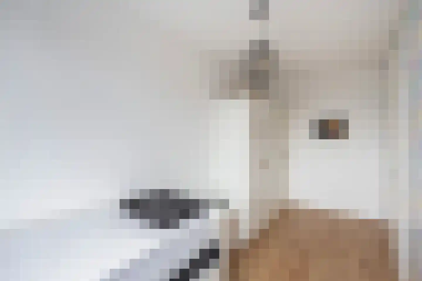 Buckhorstlaan 24 Zwolle thumbnail 23