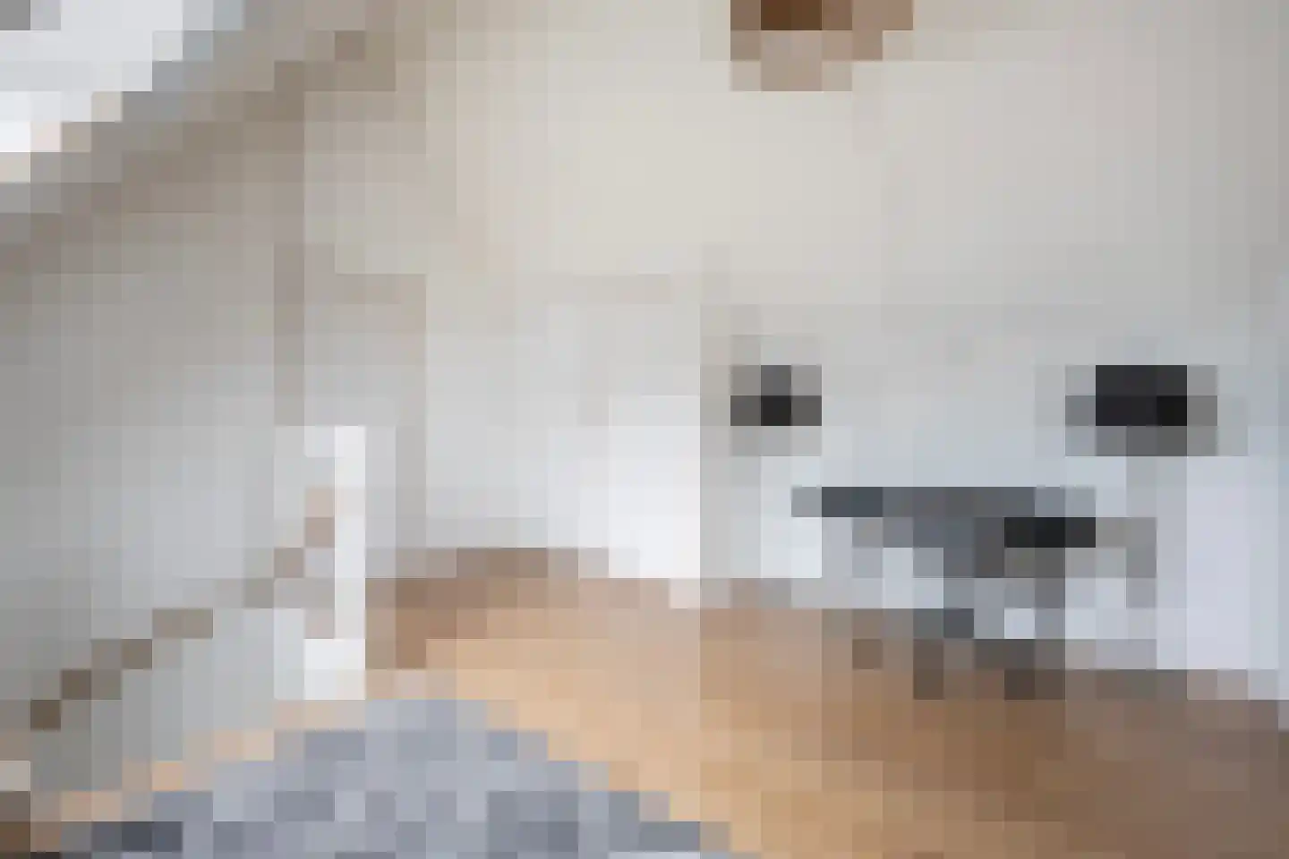Buckhorstlaan 24 Zwolle thumbnail 33