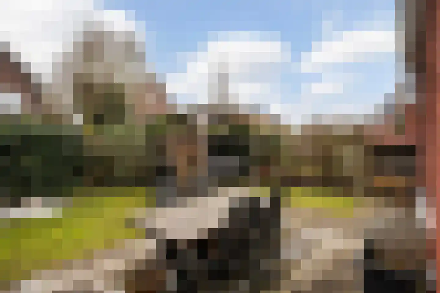 Buckhorstlaan 24 Zwolle thumbnail 34