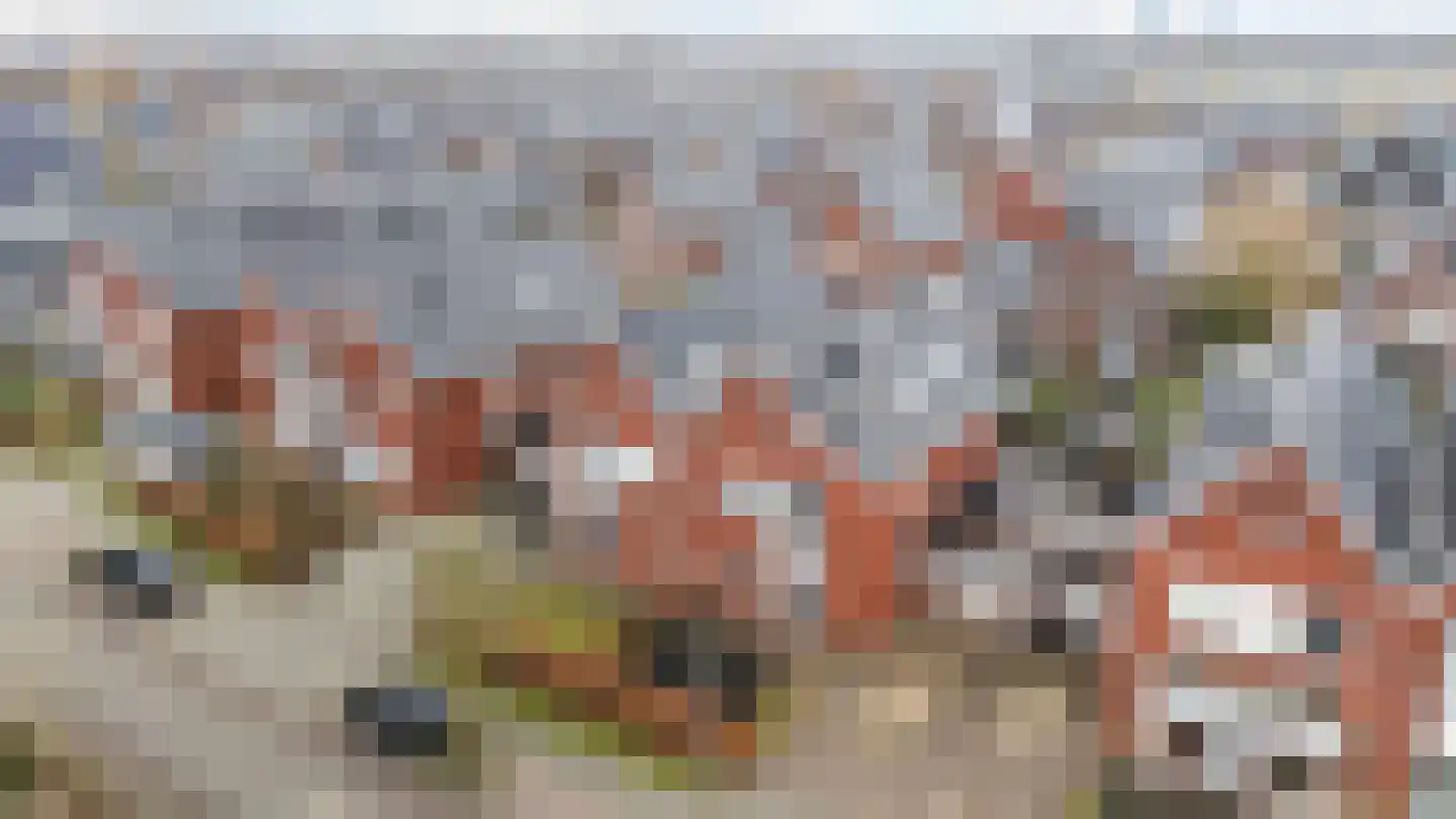Buckhorstlaan 24 Zwolle thumbnail 37