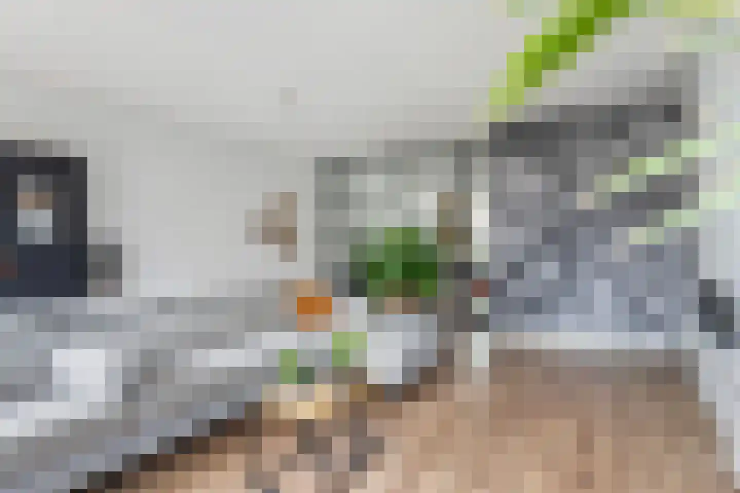 Buckhorstlaan 6 Zwolle thumbnail 12