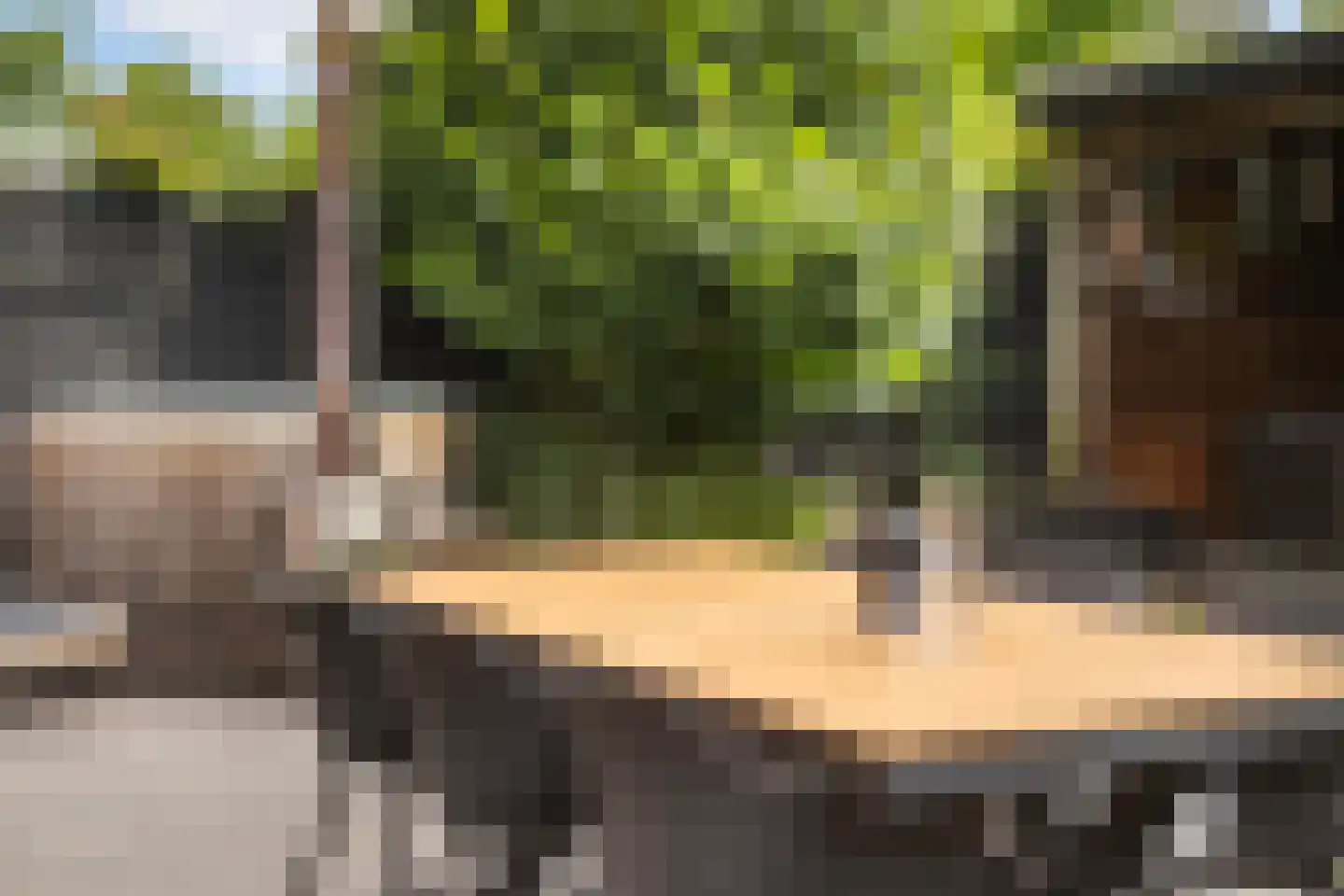 Buckhorstlaan 6 Zwolle thumbnail 15