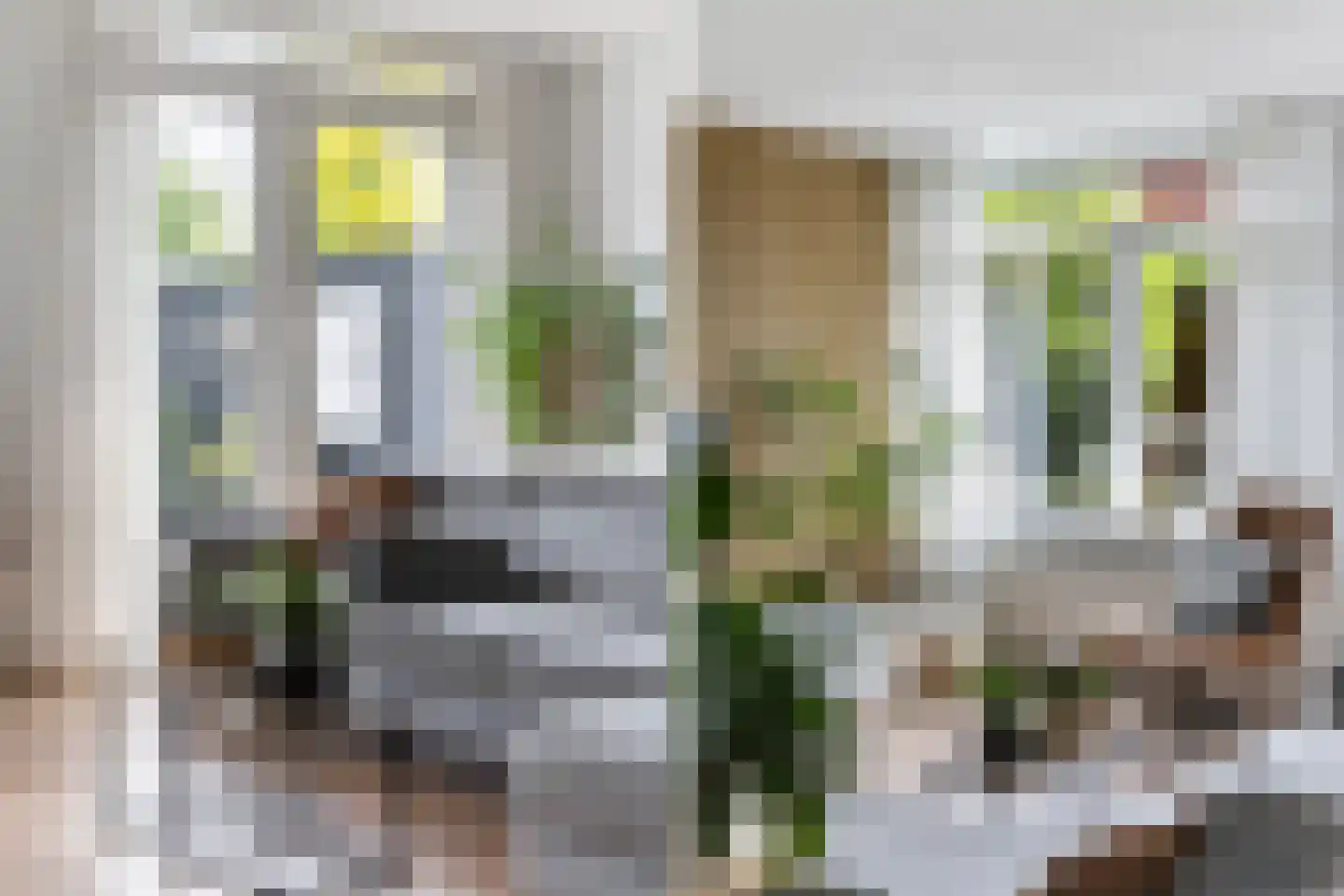 Buckhorstlaan 6 Zwolle thumbnail 20