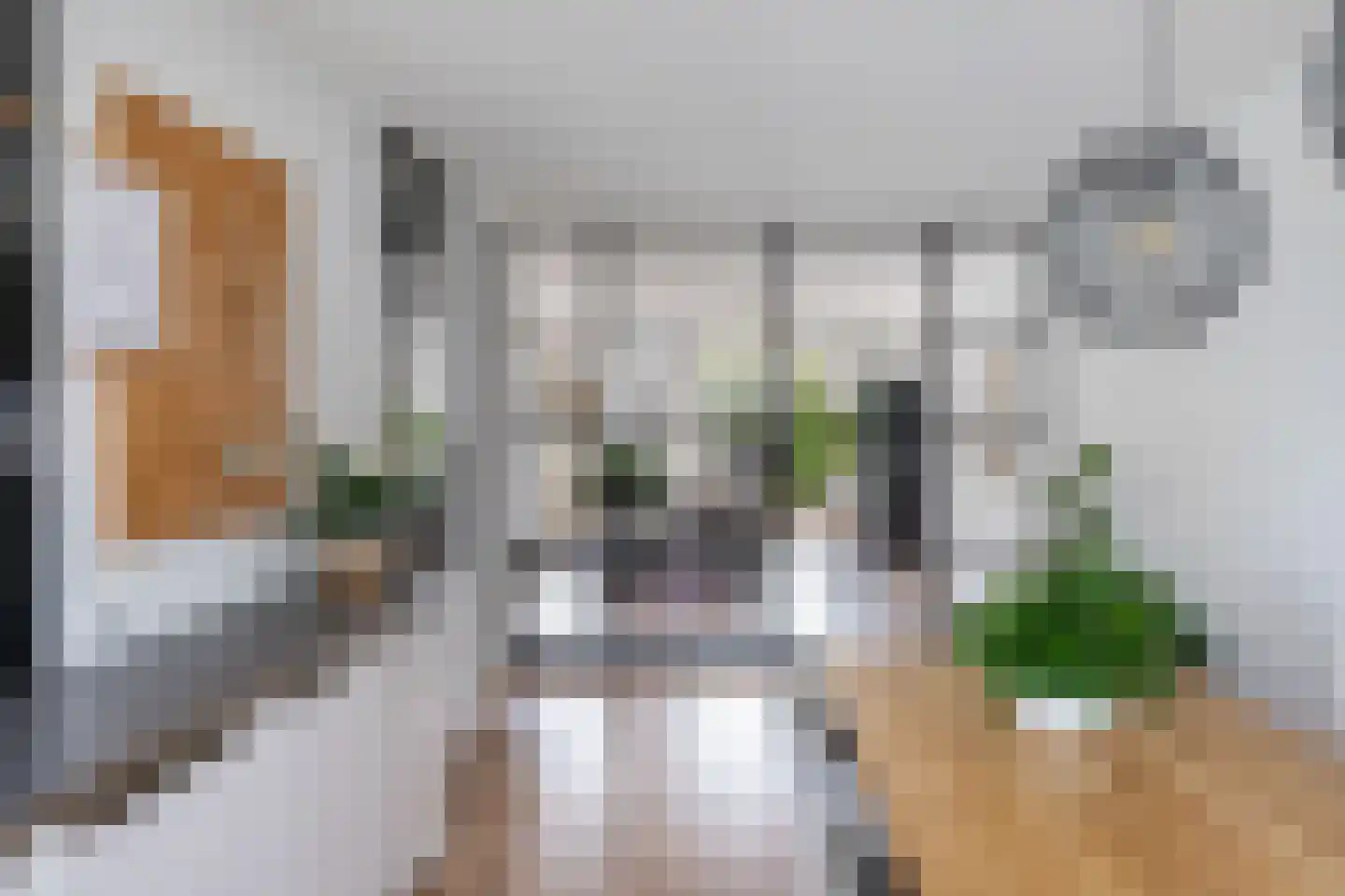 Buckhorstlaan 6 Zwolle thumbnail 26