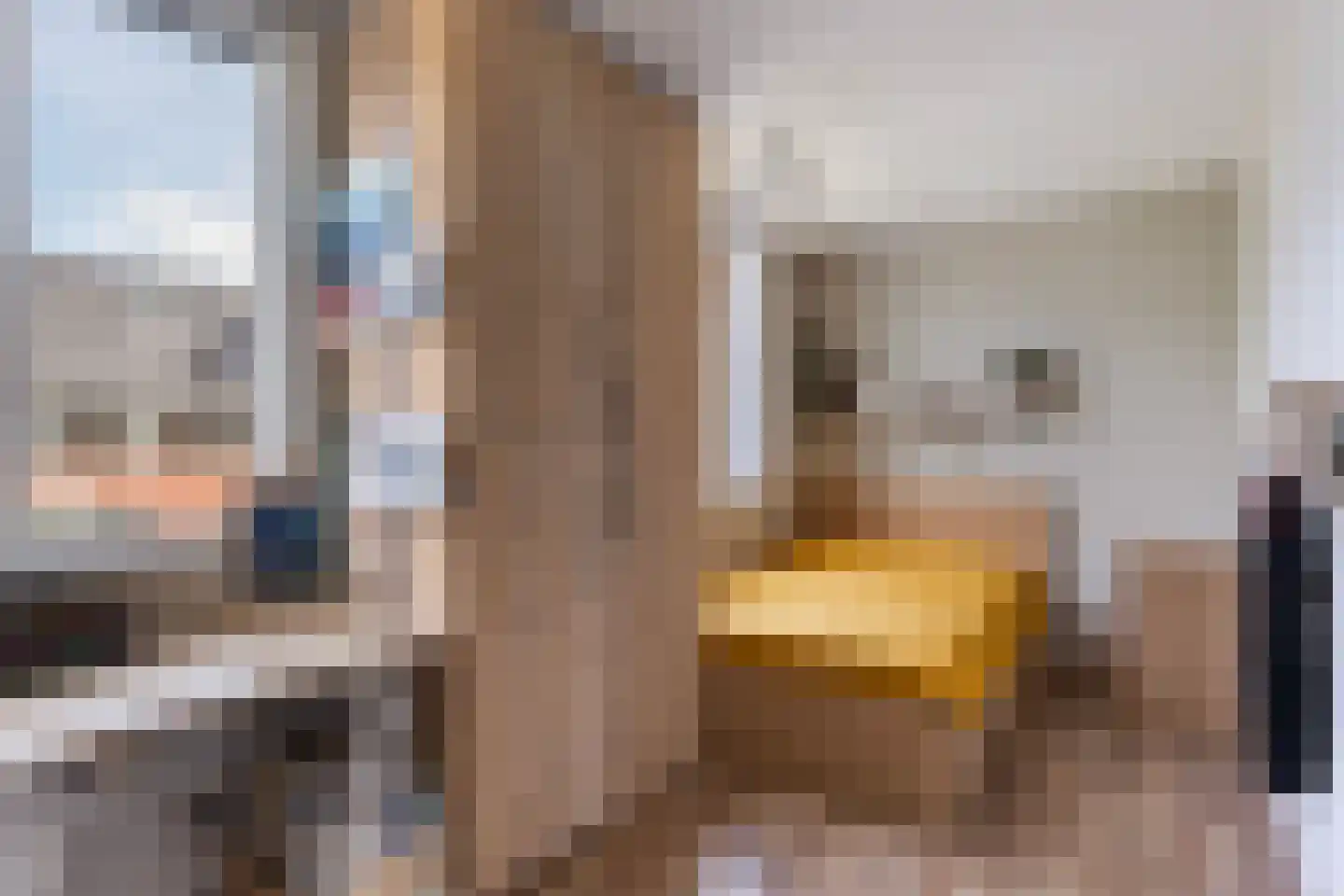 Buckhorstlaan 6 Zwolle thumbnail 36