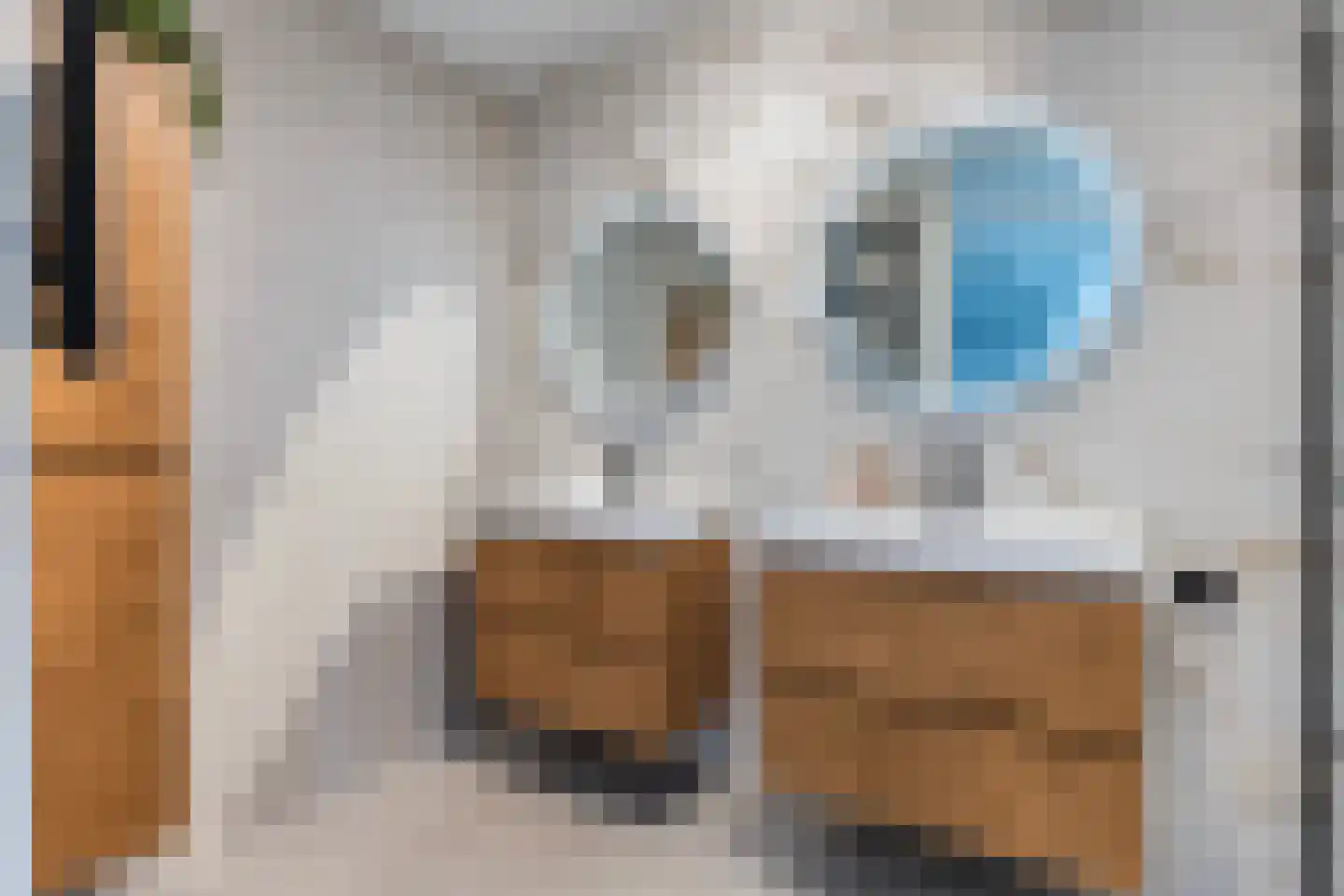 Buckhorstlaan 6 Zwolle thumbnail 4