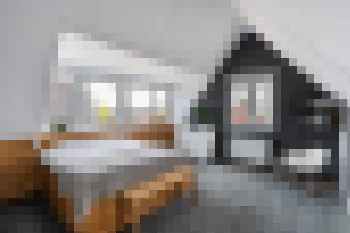 Buckhorstlaan 6 Zwolle thumbnail 41