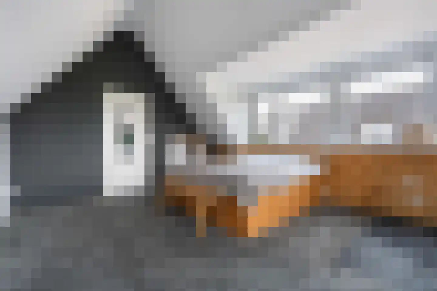 Buckhorstlaan 6 Zwolle thumbnail 43