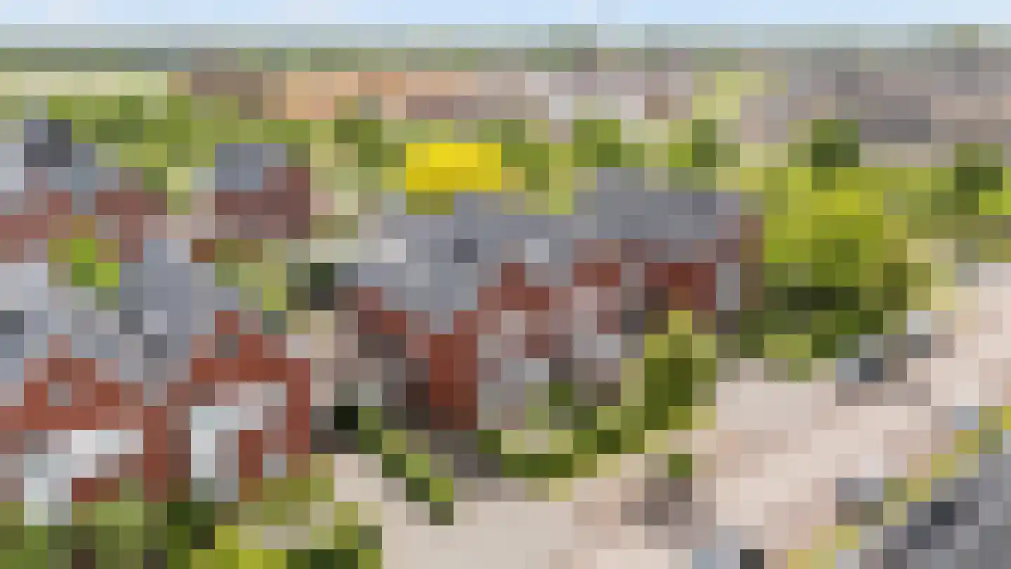 Buckhorstlaan 6 Zwolle thumbnail 49