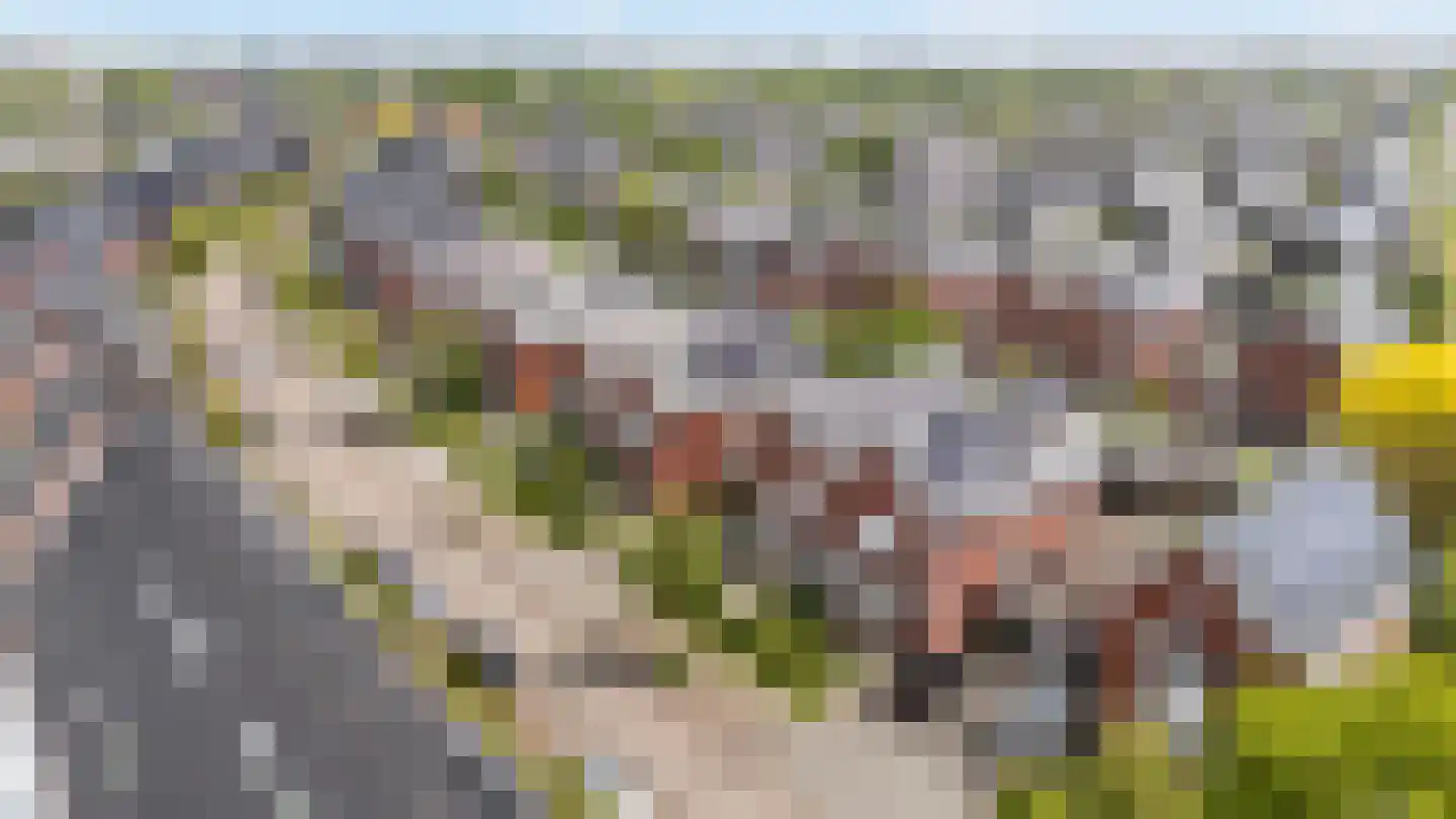 Buckhorstlaan 6 Zwolle thumbnail 50