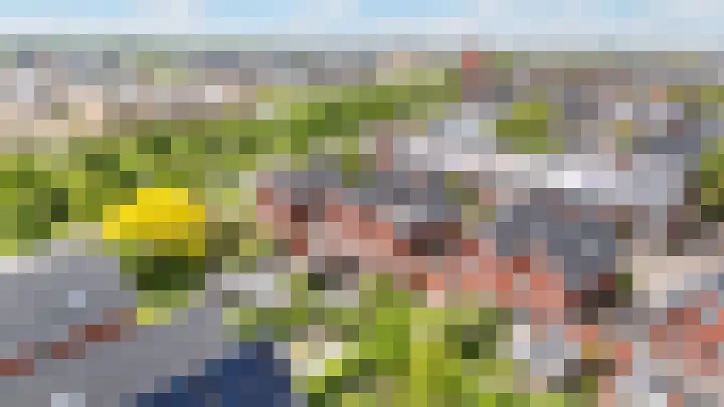 Buckhorstlaan 6 Zwolle thumbnail 51