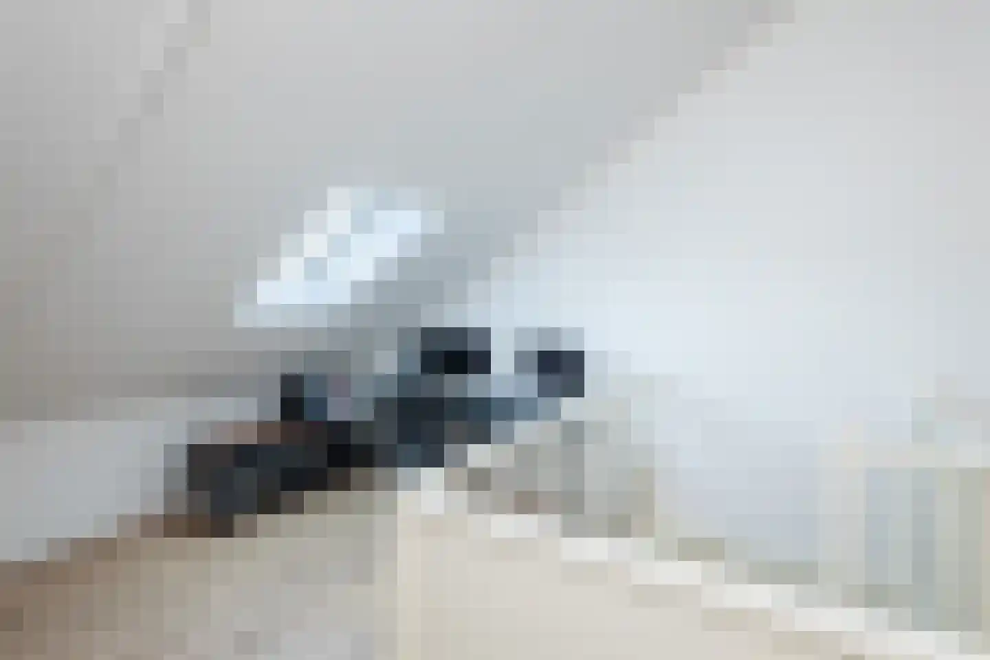 Buckingham 24 Zevenhuizen thumbnail 31
