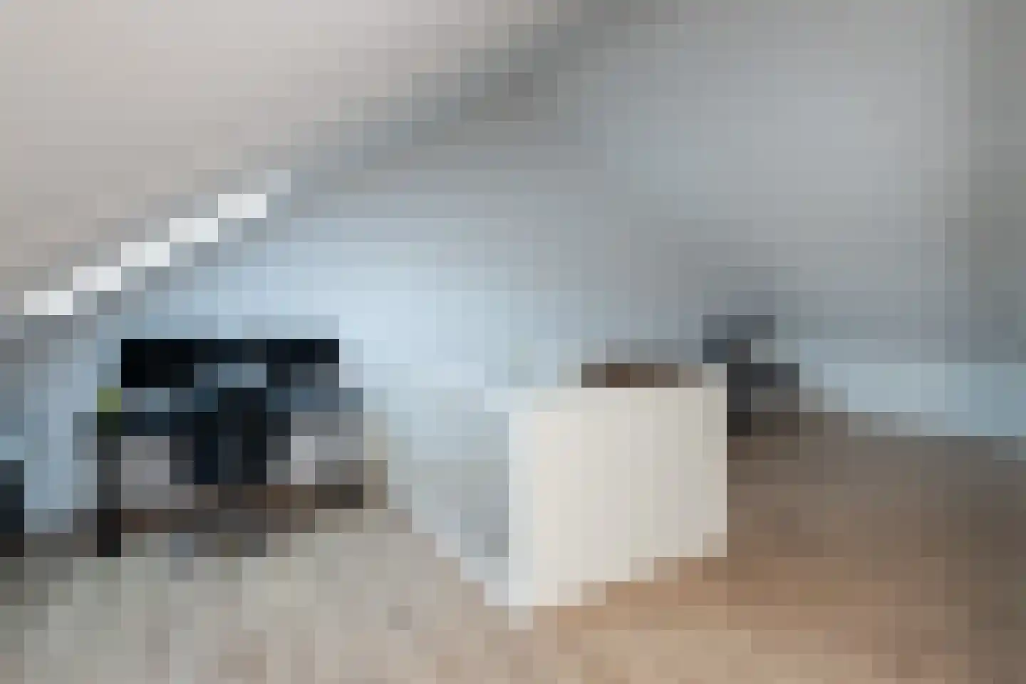 Buckingham 24 Zevenhuizen thumbnail 32