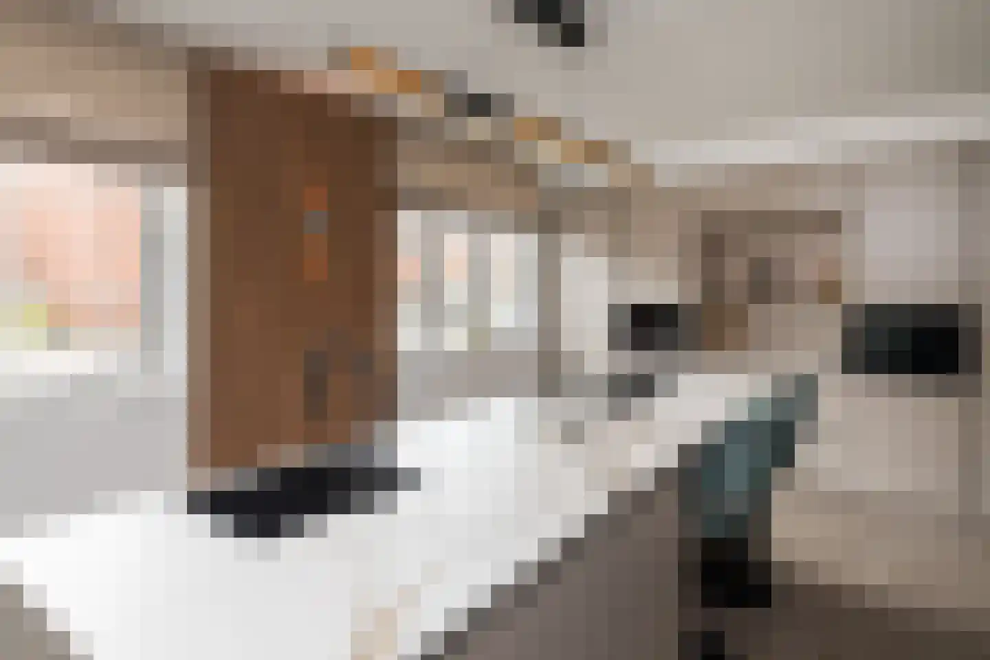 Buckingham 24 Zevenhuizen thumbnail 4