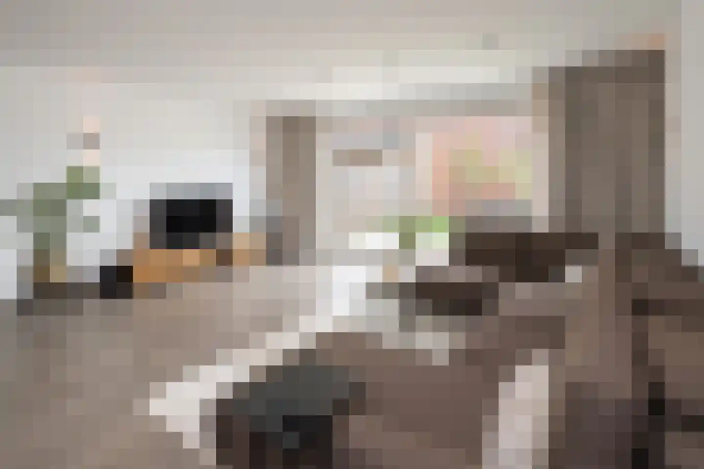Buckingham 24 Zevenhuizen thumbnail 7