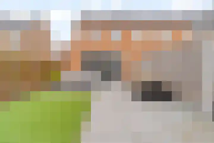 Buckingham 27 Zevenhuizen thumbnail 32