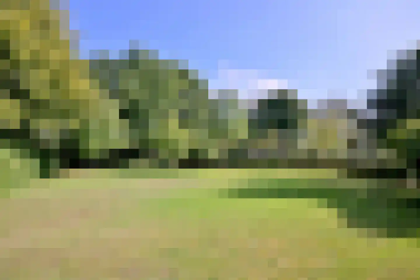Buddezand 7 Wilp thumbnail 12