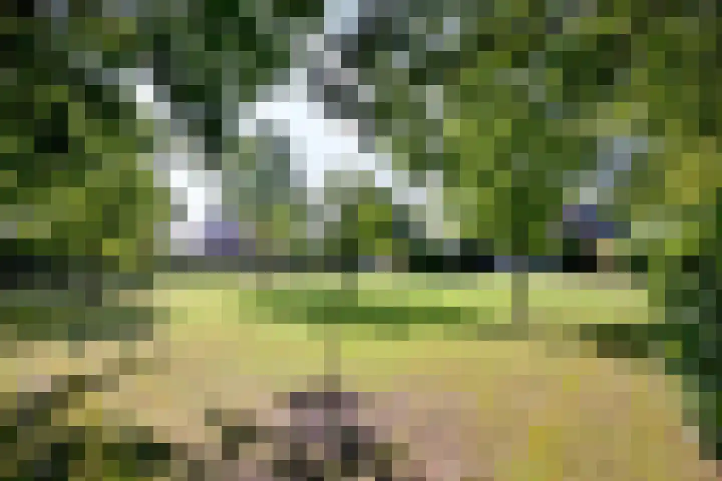 Buddezand 7 Wilp thumbnail 13