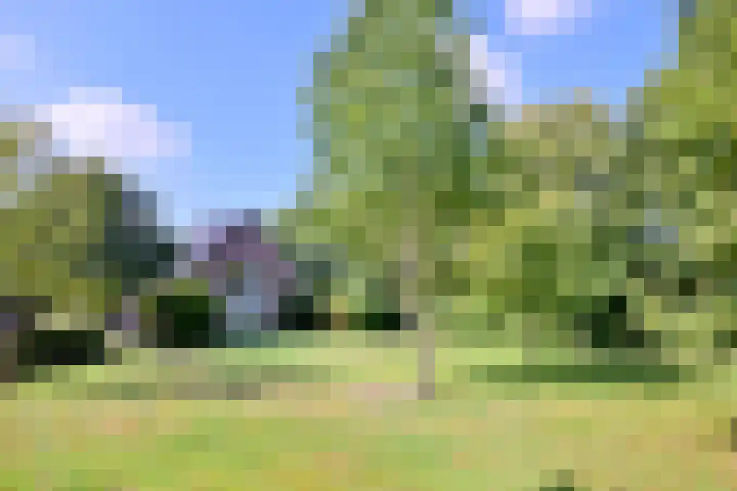 Buddezand 7 Wilp thumbnail 15