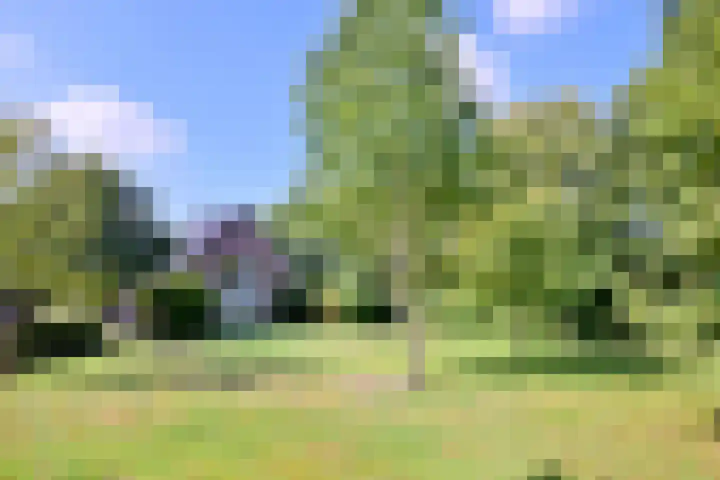 Buddezand 7 Wilp thumbnail 17