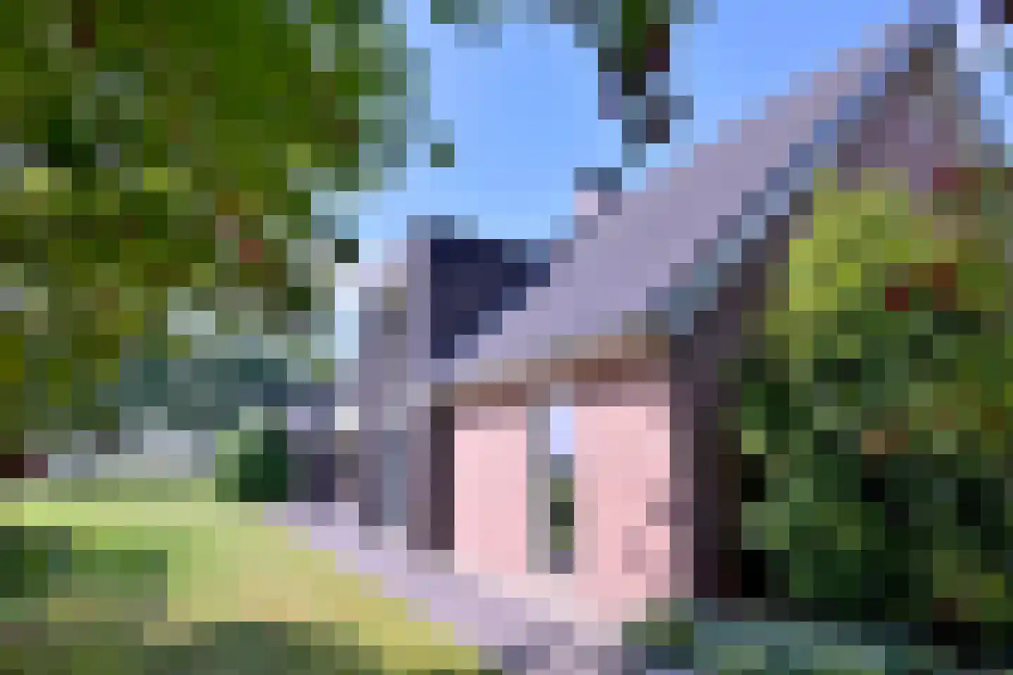 Buddezand 7 Wilp thumbnail 17