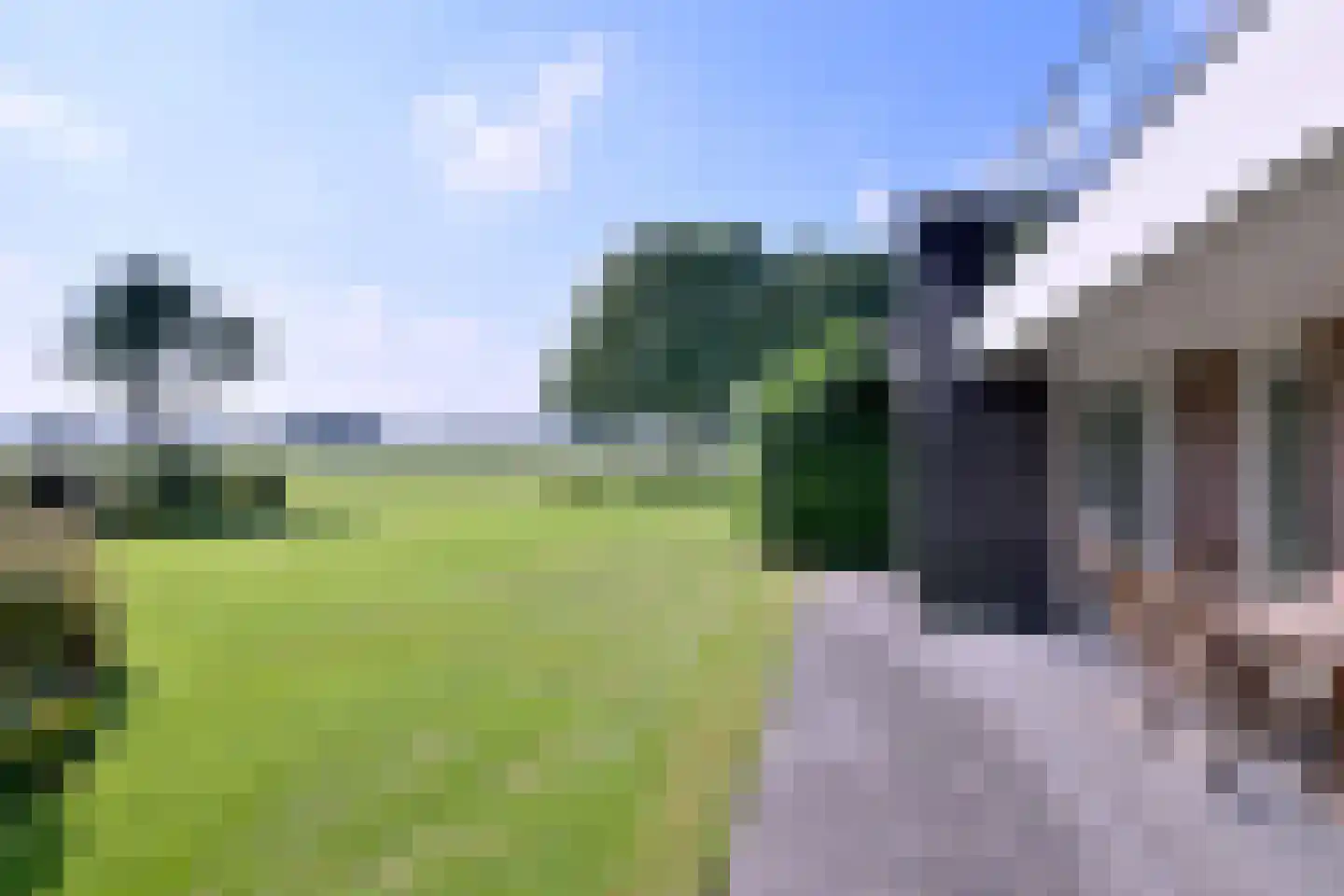 Buddezand 7 Wilp thumbnail 20