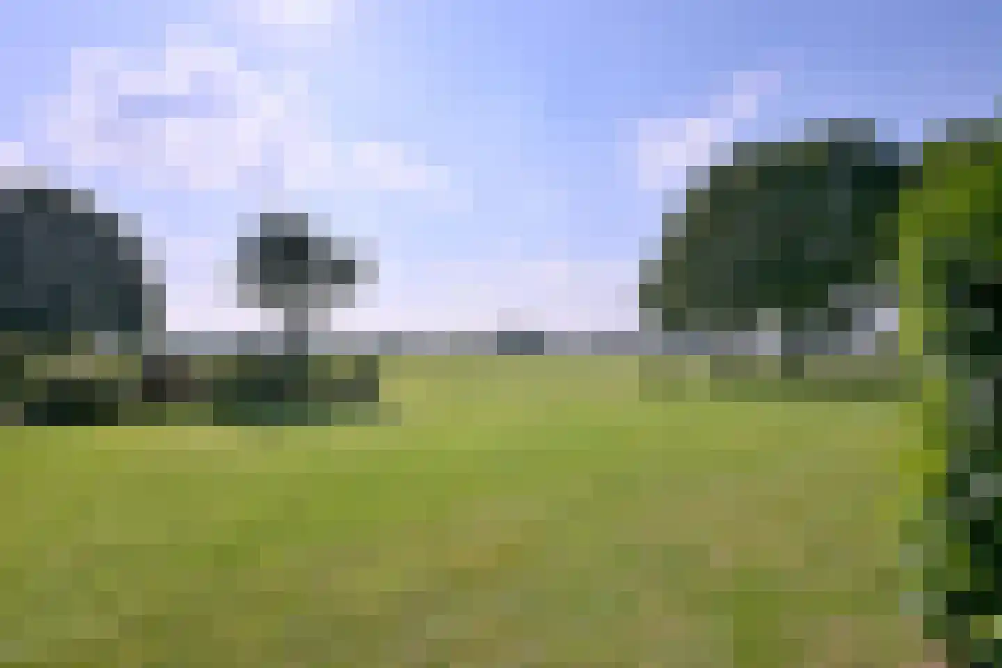 Buddezand 7 Wilp thumbnail 21