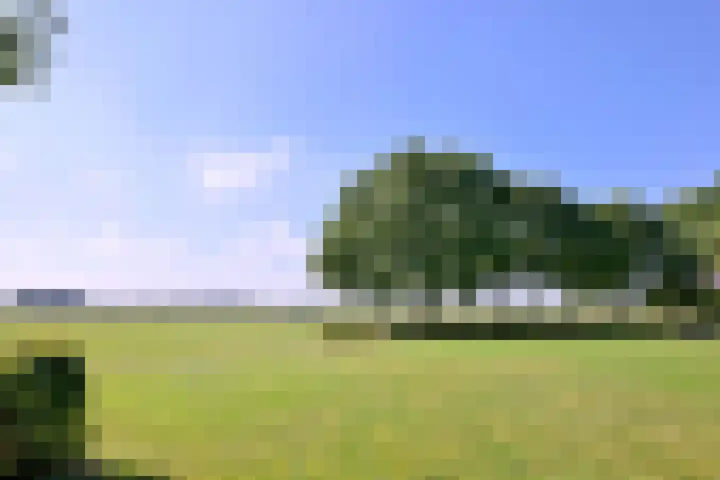 Buddezand 7 Wilp thumbnail 22