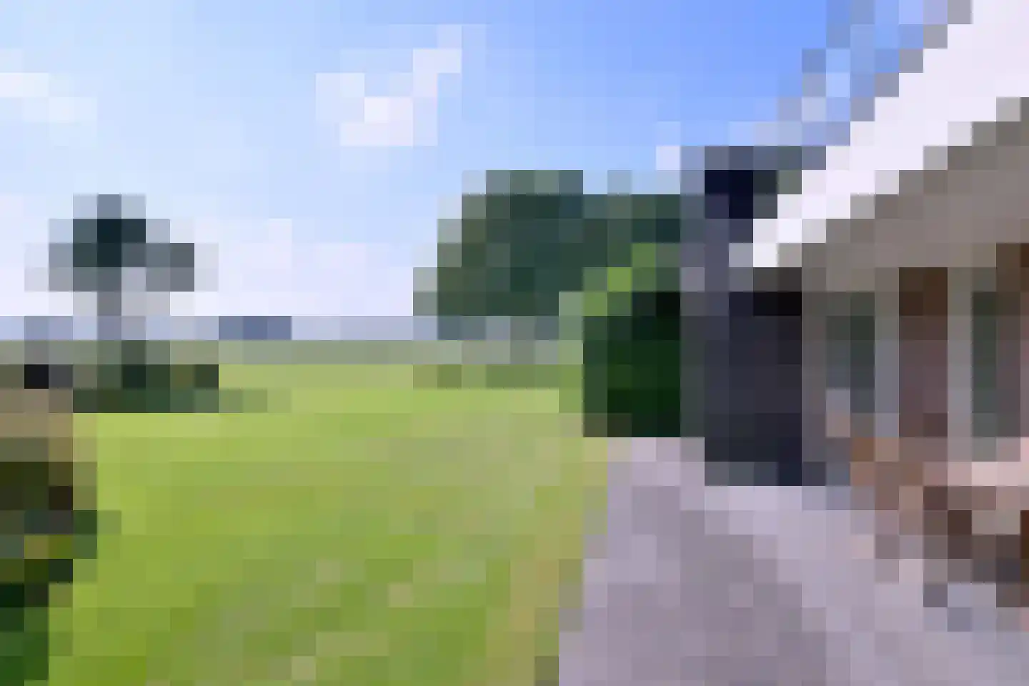 Buddezand 7 Wilp thumbnail 22