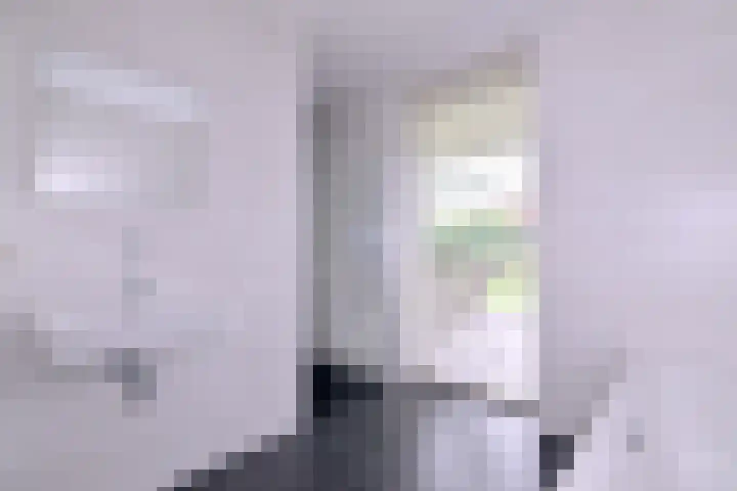 Buddezand 7 Wilp thumbnail 30