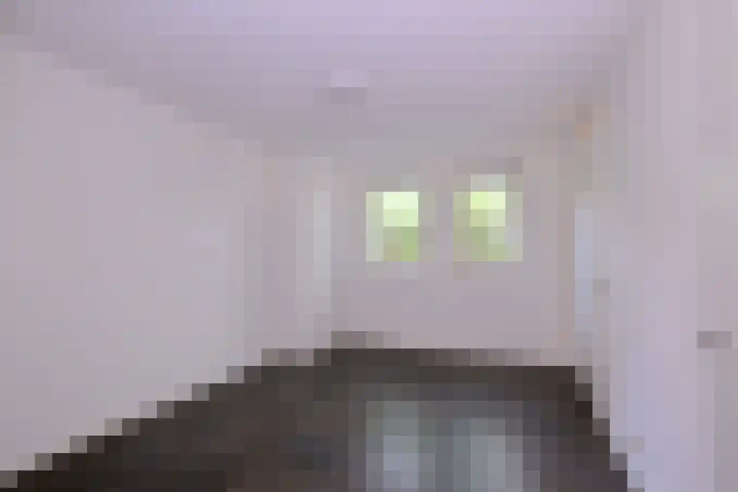 Buddezand 7 Wilp thumbnail 33