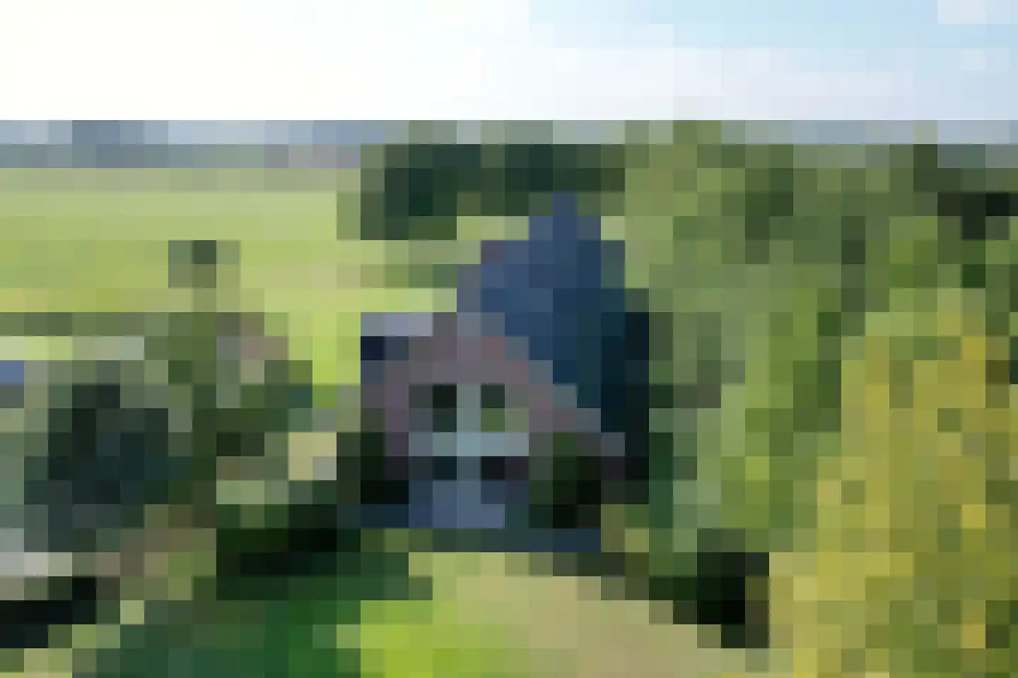Buddezand 7 Wilp thumbnail 4