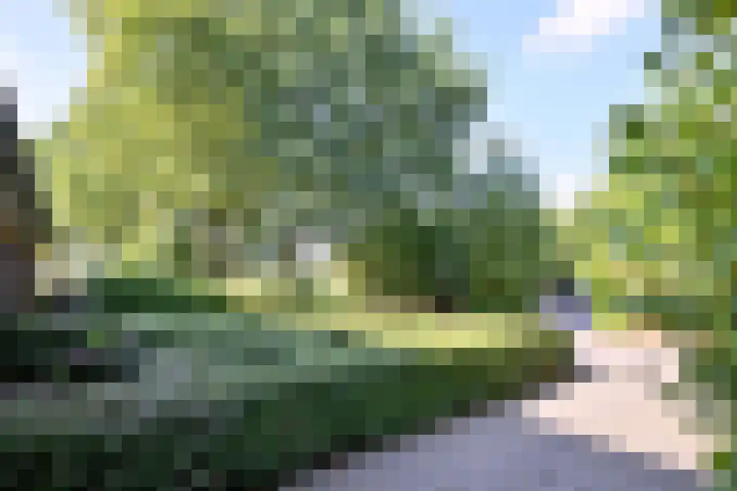 Buddezand 7 Wilp thumbnail 44