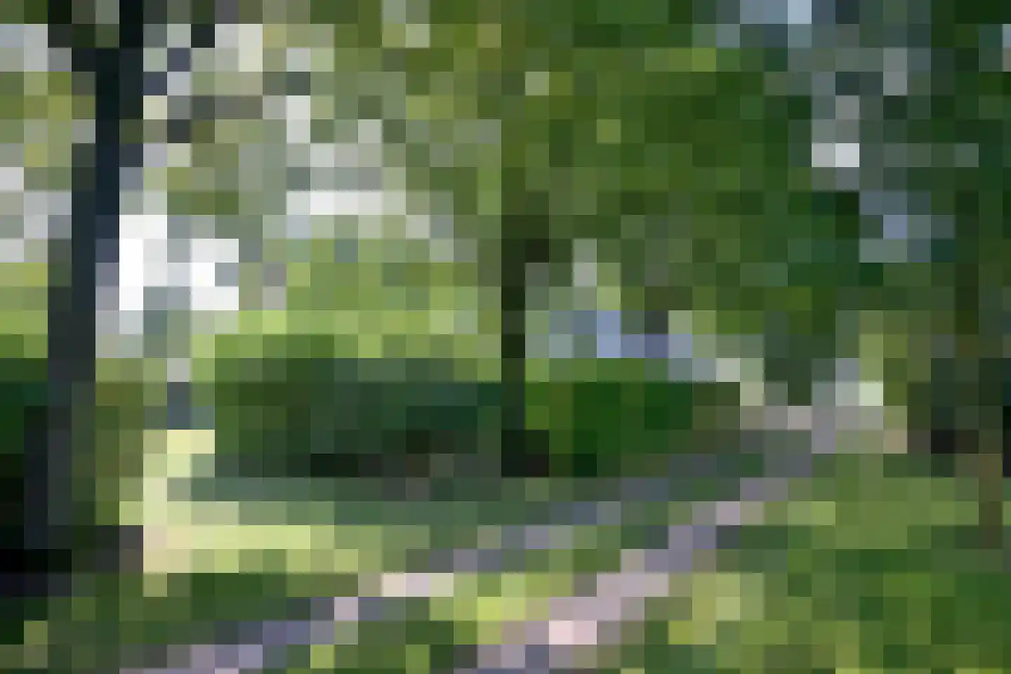 Buddezand 7 Wilp thumbnail 47