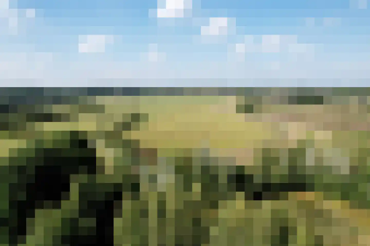 Buddezand 7 Wilp thumbnail 49