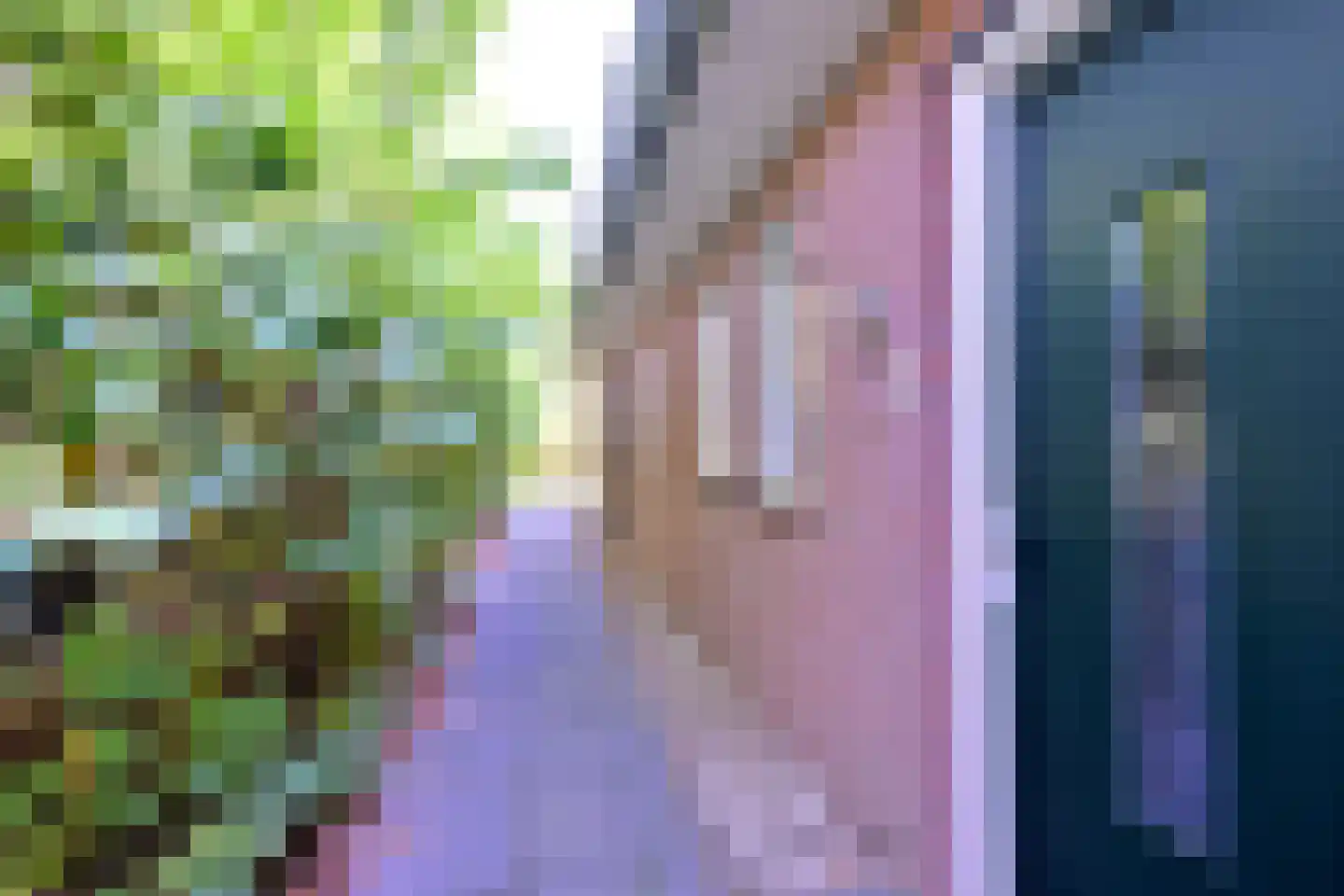 Buddezand 7 Wilp thumbnail 5