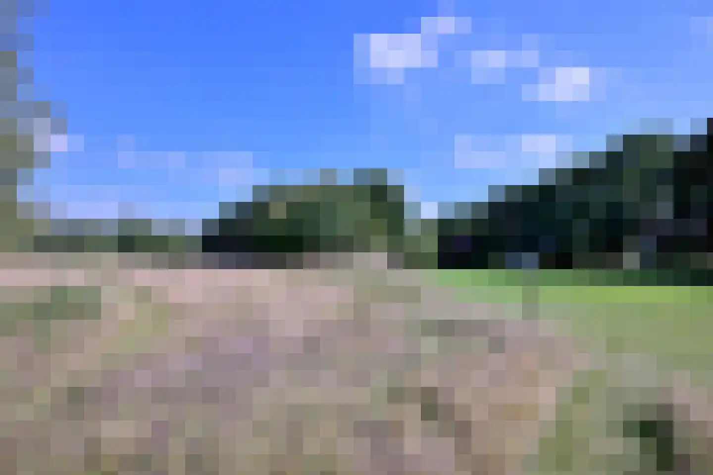 Buddezand 7 Wilp thumbnail 51