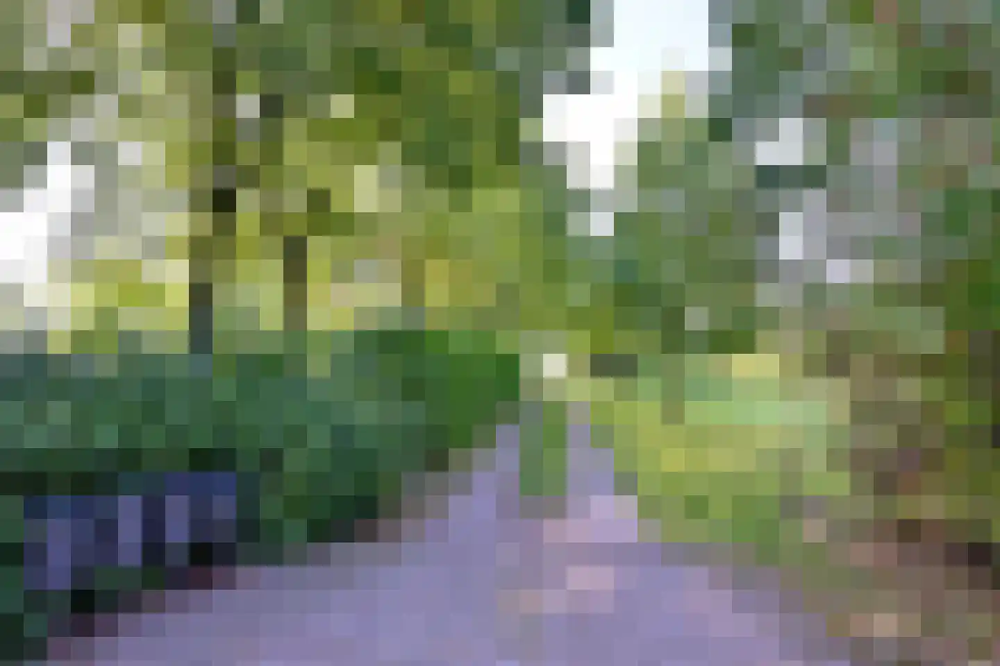 Buddezand 7 Wilp thumbnail 52