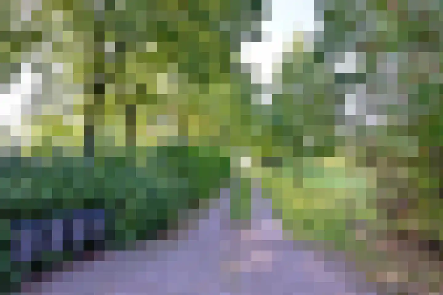 Buddezand 7 Wilp thumbnail 55