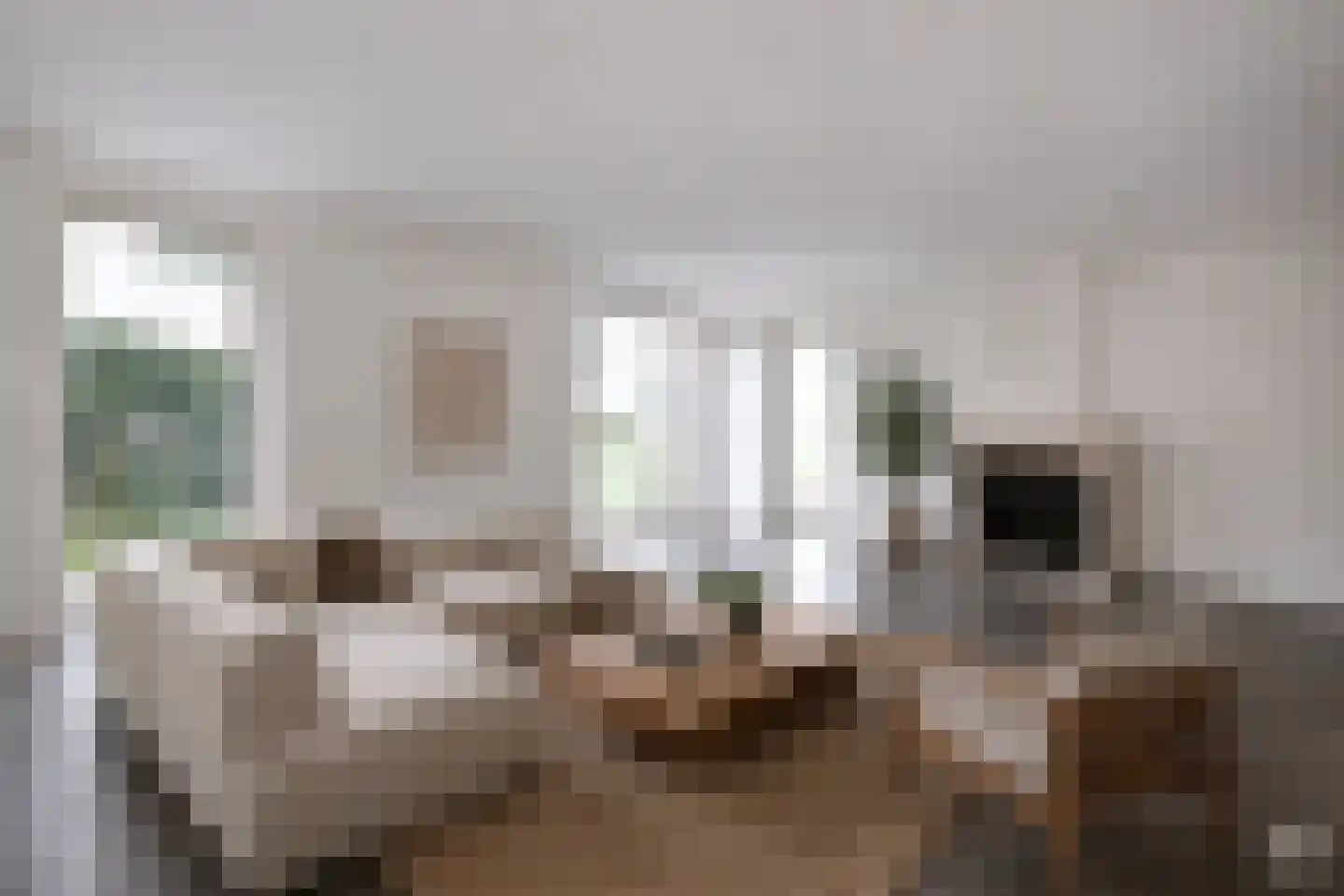 Buddezand 7 Wilp thumbnail 9
