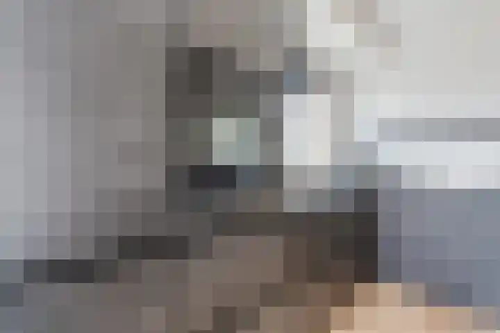 Buddingerstraat 38 Ruinerwold thumbnail 10