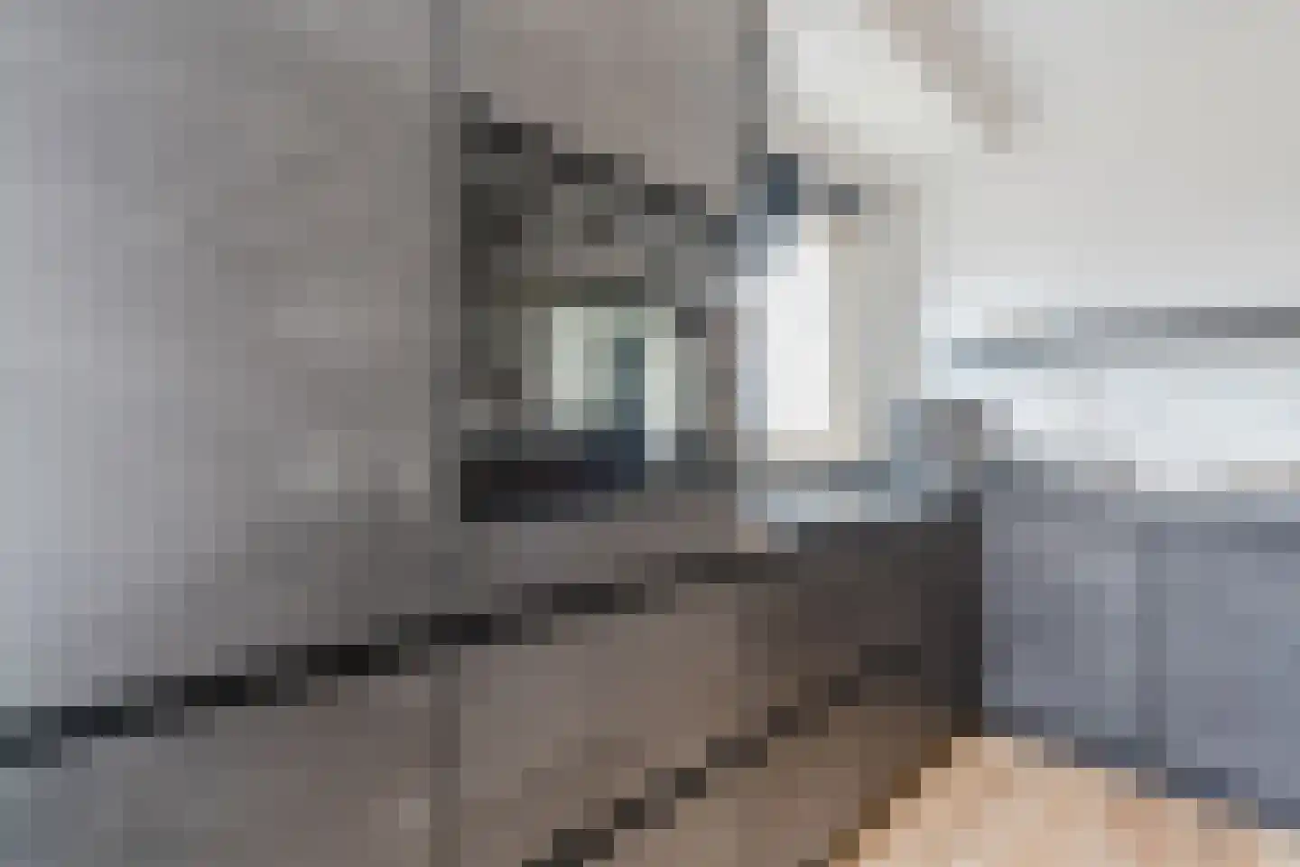 Buddingerstraat 38 Ruinerwold thumbnail 10